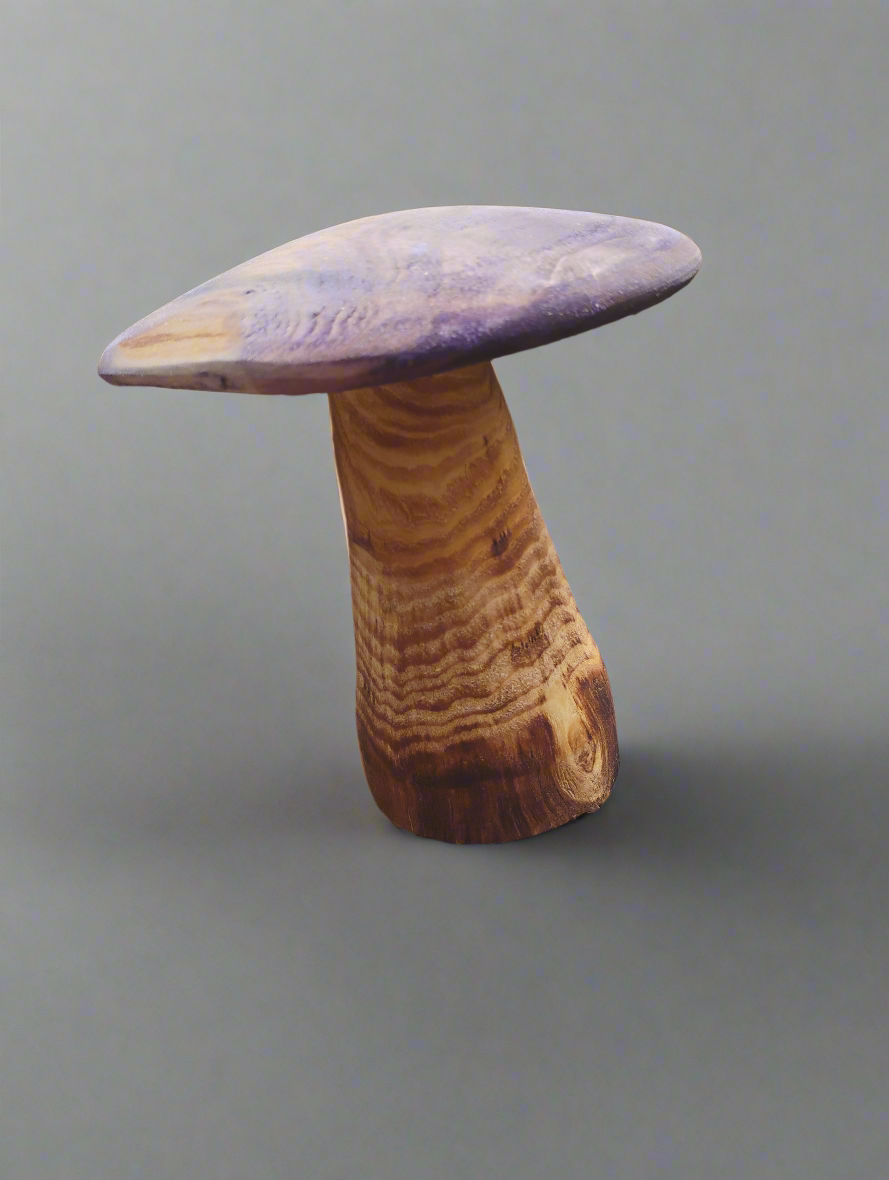 Garden mushroom purple