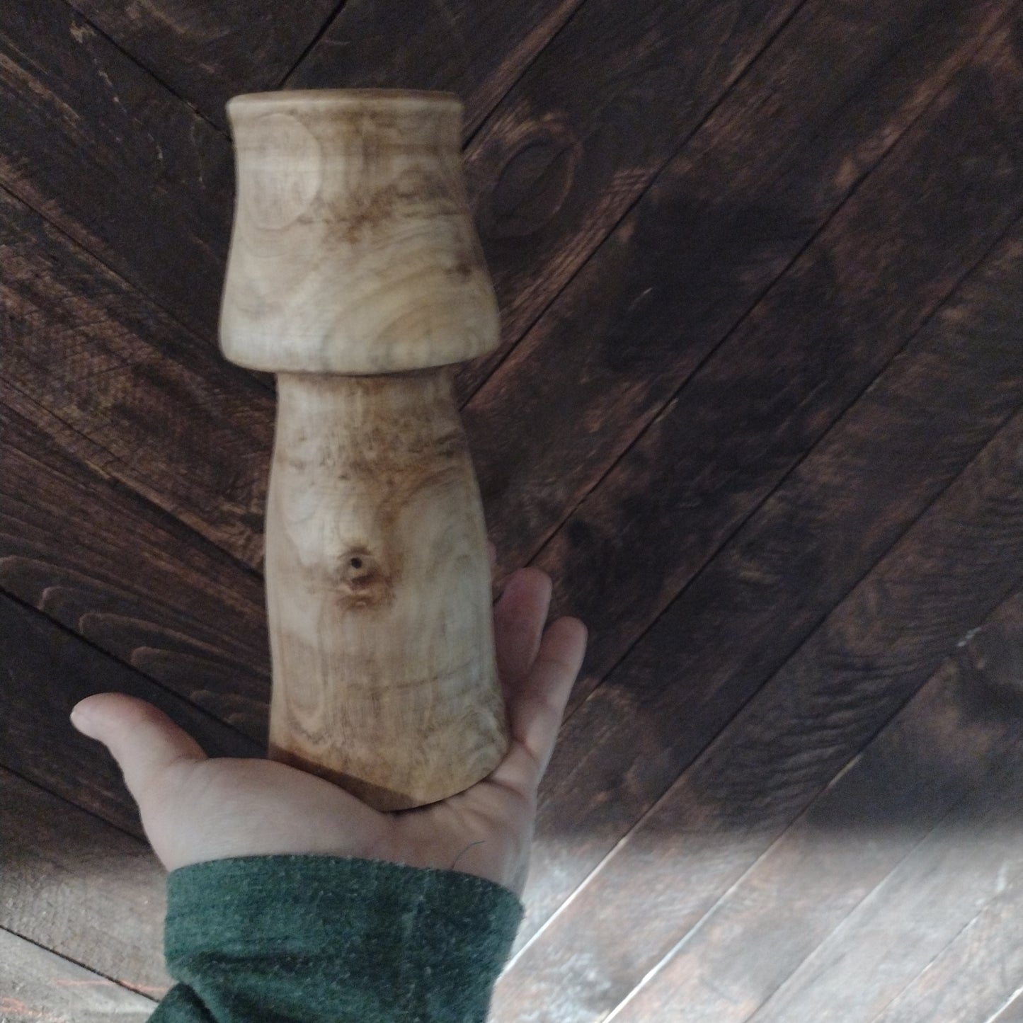Mushroom planter wood
