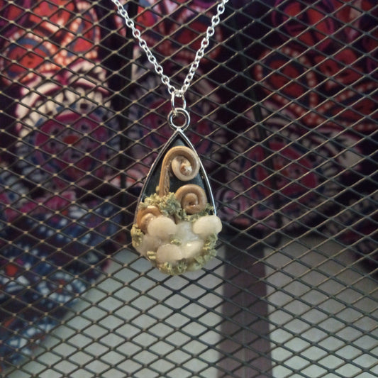 Mushroom and fiddle ferns