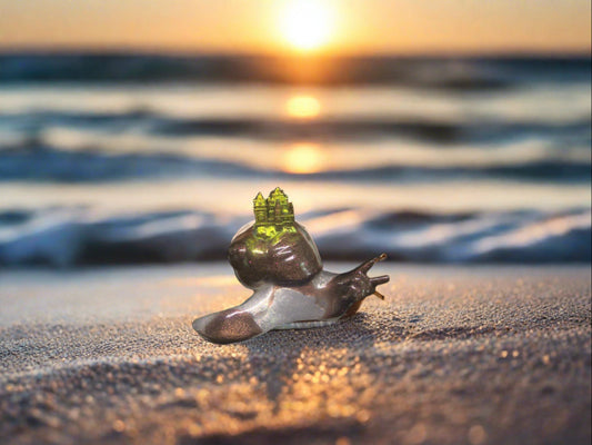 small snail castle