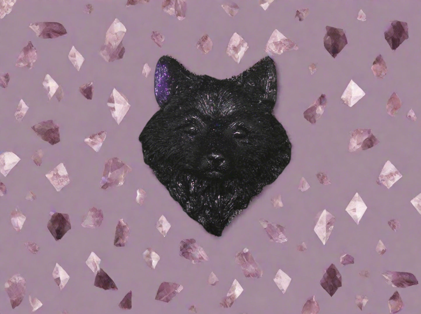fox magnet black