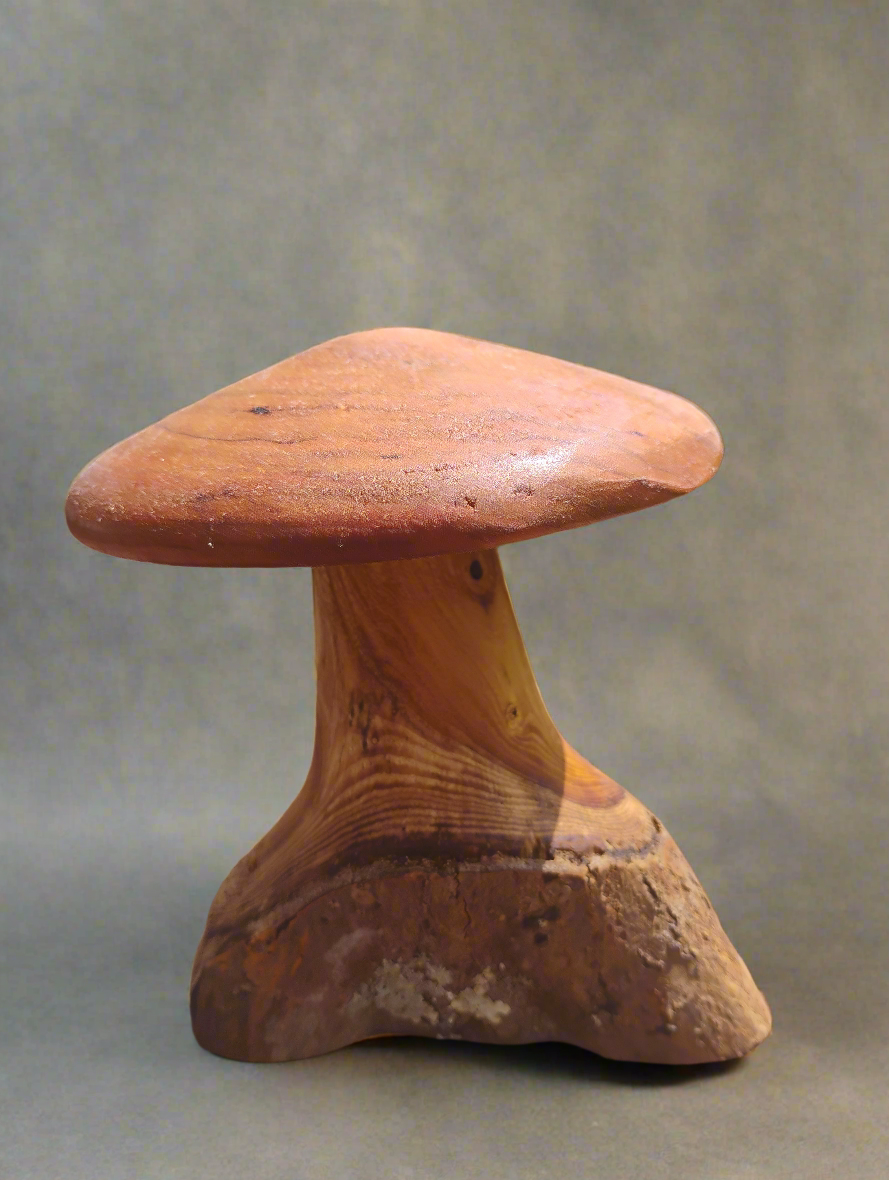 Garden mushroom