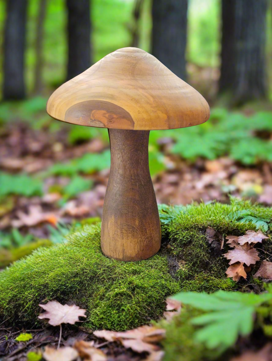 Wood mushroom large