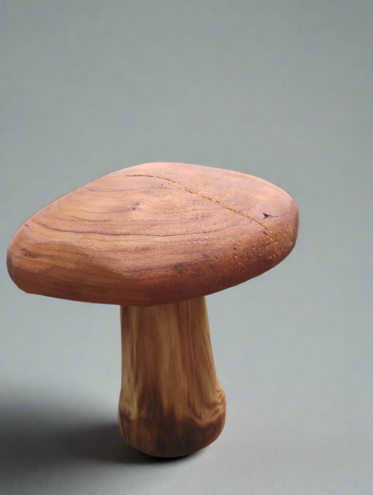 Garden mushroom 2