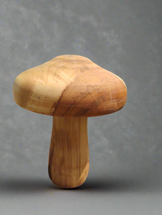 Garden mushroom large