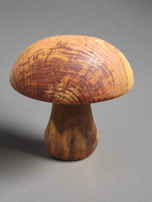 Garden mushroom red oak