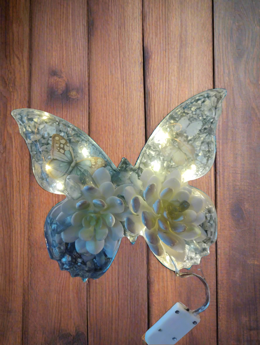 Succulent butterfly