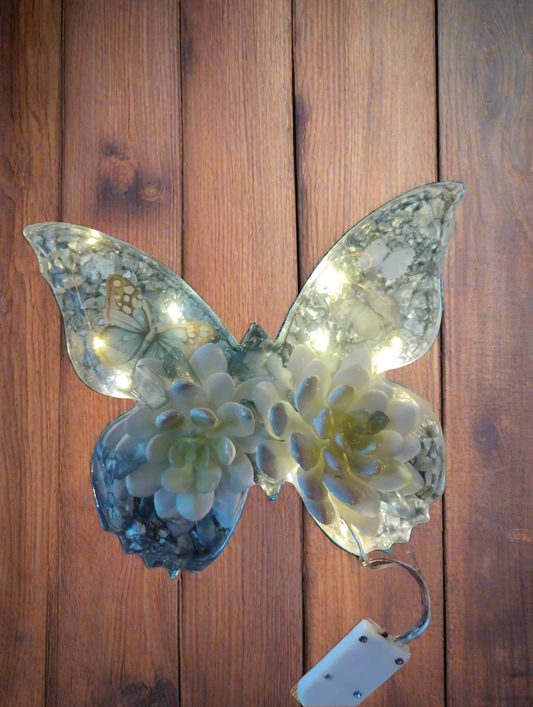 Succulent butterfly