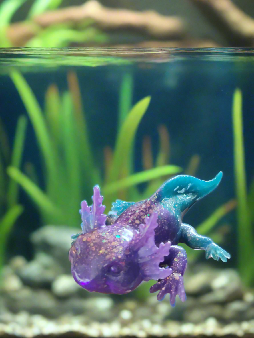 Axolotl purple and blue